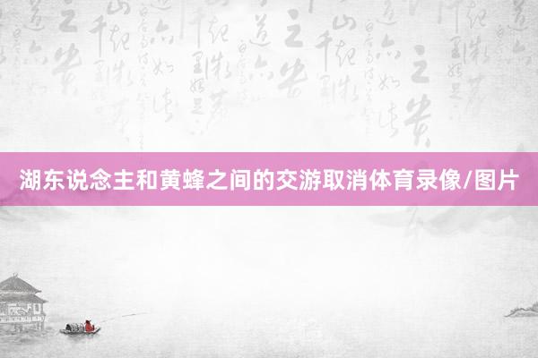 湖东说念主和黄蜂之间的交游取消体育录像/图片