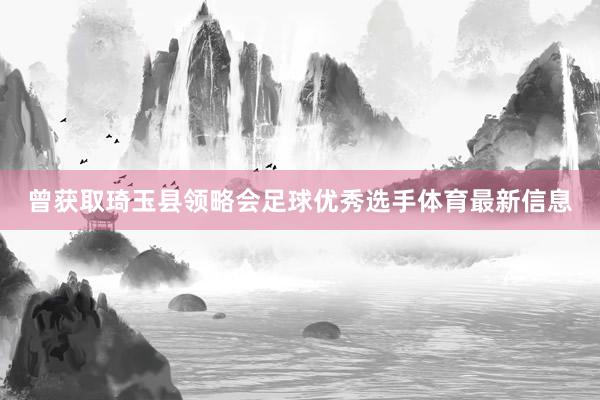 曾获取琦玉县领略会足球优秀选手体育最新信息