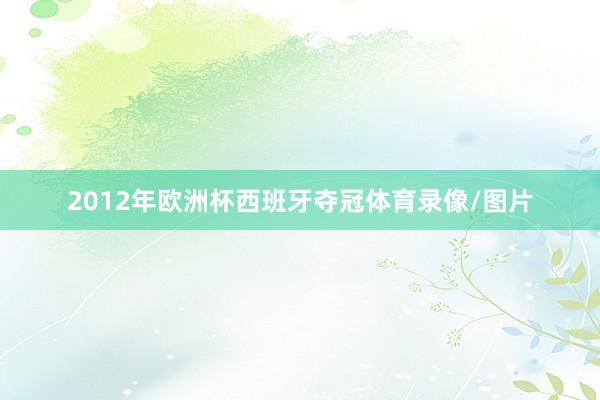 2012年欧洲杯西班牙夺冠体育录像/图片