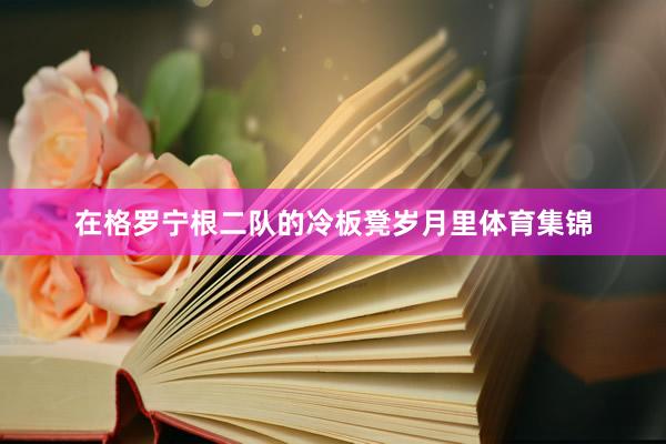 在格罗宁根二队的冷板凳岁月里体育集锦