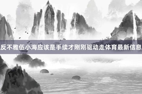 反不雅伍小海应该是手续才刚刚驱动走体育最新信息