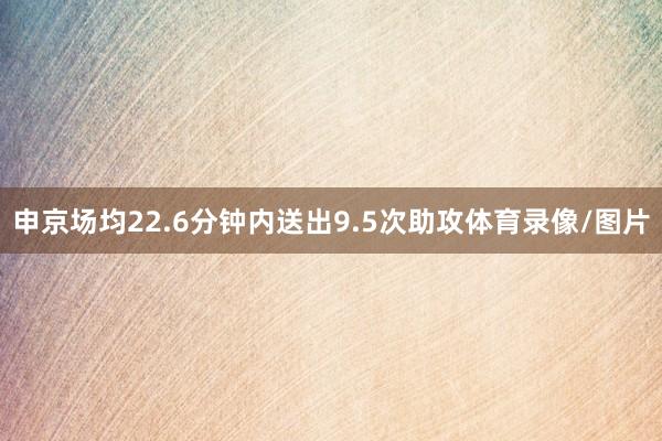 申京场均22.6分钟内送出9.5次助攻体育录像/图片