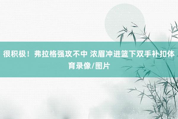 很积极！弗拉格强攻不中 浓眉冲进篮下双手补扣体育录像/图片