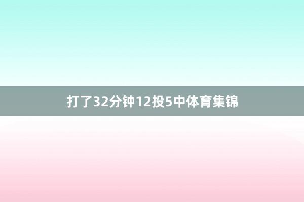 打了32分钟12投5中体育集锦