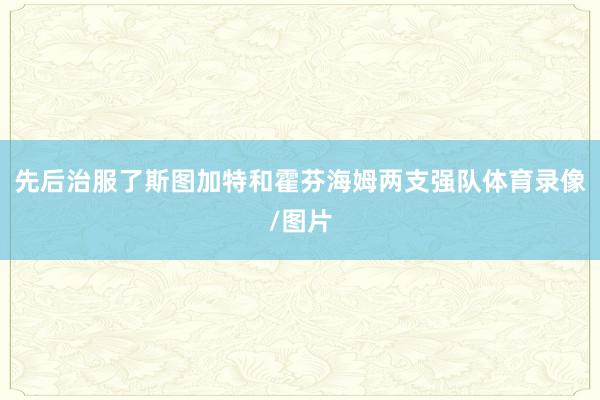 先后治服了斯图加特和霍芬海姆两支强队体育录像/图片