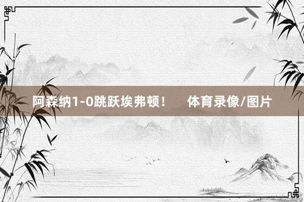 阿森纳1-0跳跃埃弗顿! 体育录像/图片