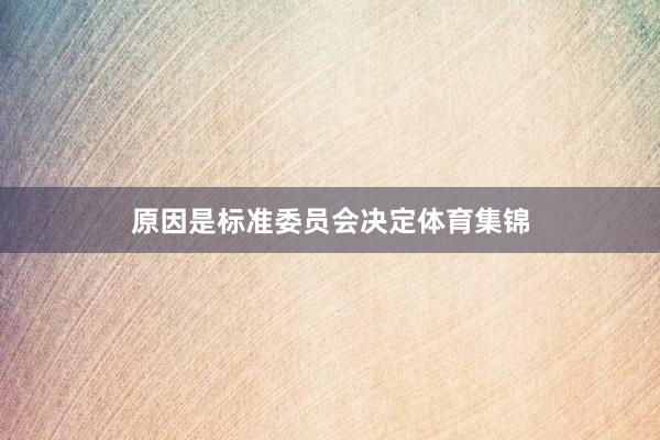 原因是标准委员会决定体育集锦