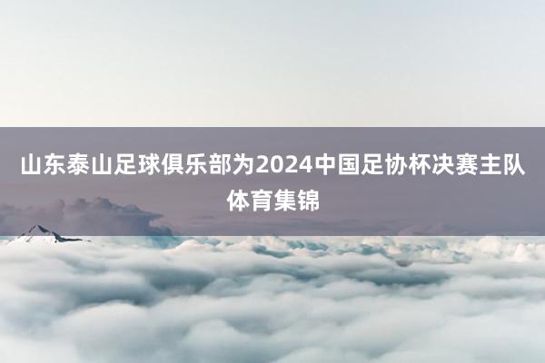 山东泰山足球俱乐部为2024中国足协杯决赛主队体育集锦