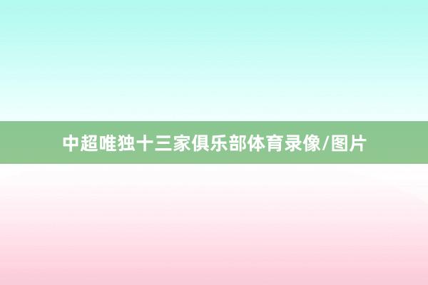 中超唯独十三家俱乐部体育录像/图片
