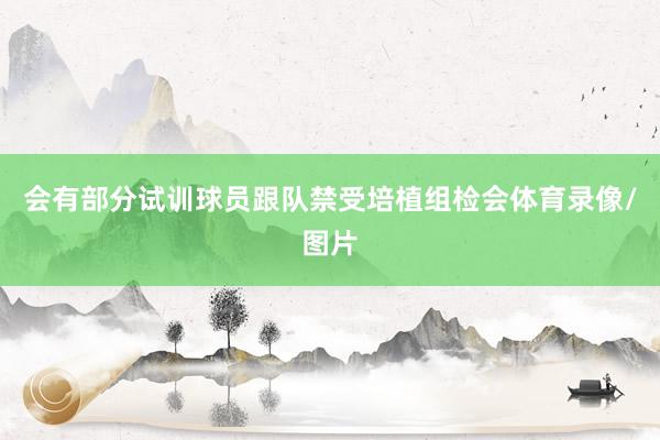 会有部分试训球员跟队禁受培植组检会体育录像/图片