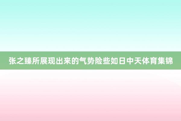 张之臻所展现出来的气势险些如日中天体育集锦