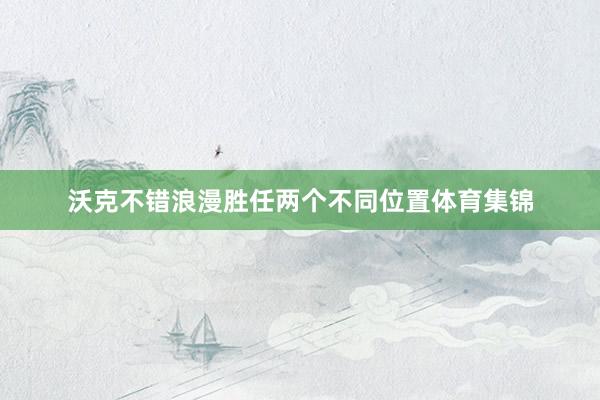 沃克不错浪漫胜任两个不同位置体育集锦