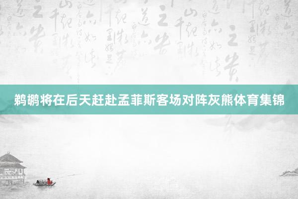 鹈鹕将在后天赶赴孟菲斯客场对阵灰熊体育集锦