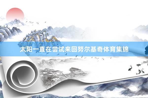 太阳一直在尝试来回努尔基奇体育集锦