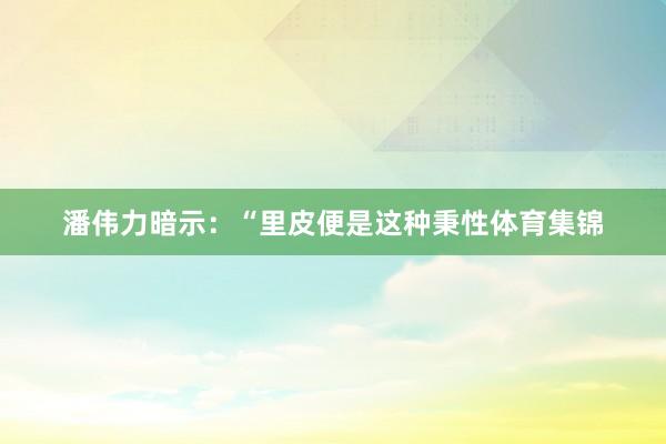 潘伟力暗示：“里皮便是这种秉性体育集锦