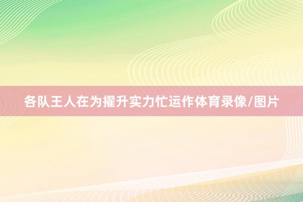 各队王人在为擢升实力忙运作体育录像/图片