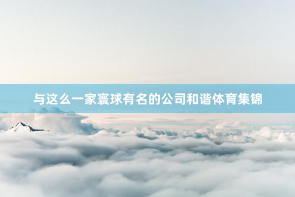 与这么一家寰球有名的公司和谐体育集锦