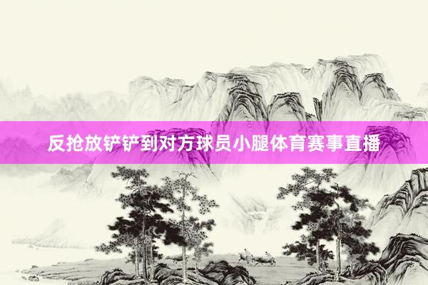 反抢放铲铲到对方球员小腿体育赛事直播