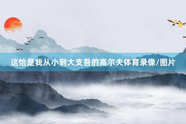 这恰是我从小到大支吾的高尔夫体育录像/图片