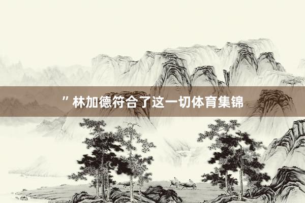 ”林加德符合了这一切体育集锦