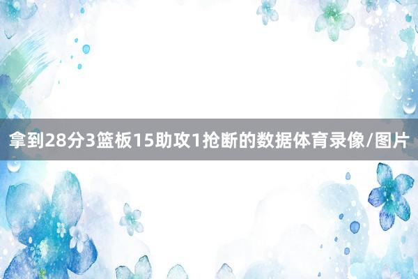 拿到28分3篮板15助攻1抢断的数据体育录像/图片
