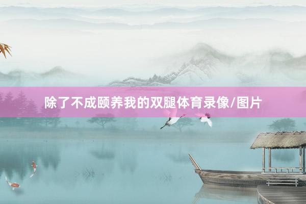 除了不成颐养我的双腿体育录像/图片