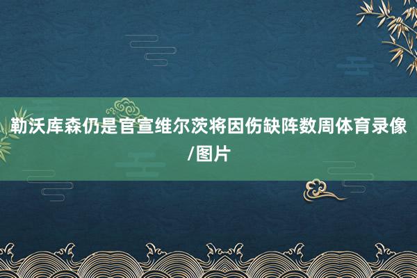 勒沃库森仍是官宣维尔茨将因伤缺阵数周体育录像/图片