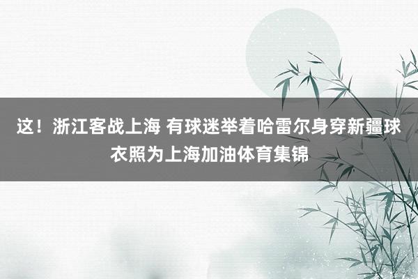 这！浙江客战上海 有球迷举着哈雷尔身穿新疆球衣照为上海加油体育集锦