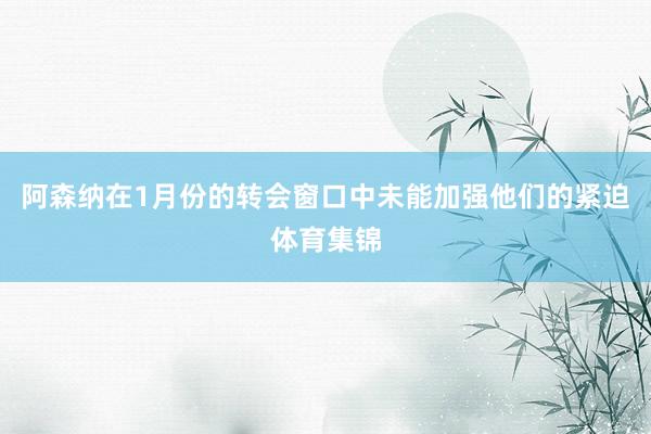阿森纳在1月份的转会窗口中未能加强他们的紧迫体育集锦