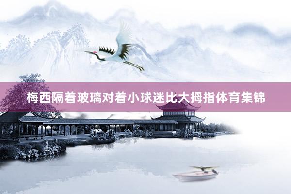 梅西隔着玻璃对着小球迷比大拇指体育集锦