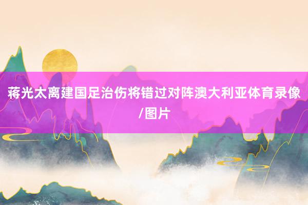 蒋光太离建国足治伤将错过对阵澳大利亚体育录像/图片