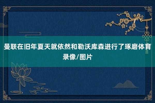 曼联在旧年夏天就依然和勒沃库森进行了琢磨体育录像/图片
