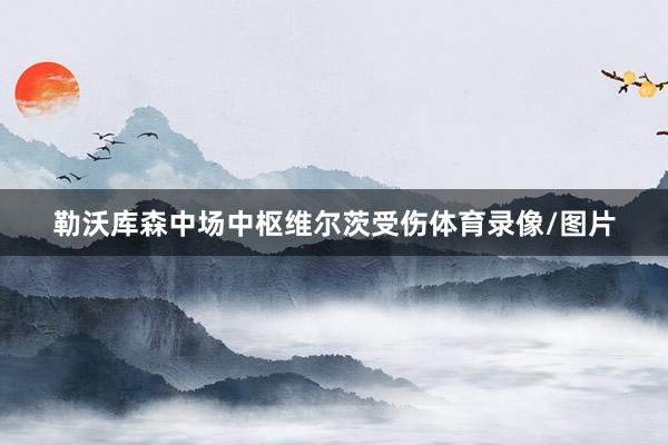 勒沃库森中场中枢维尔茨受伤体育录像/图片