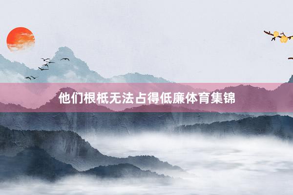 他们根柢无法占得低廉体育集锦