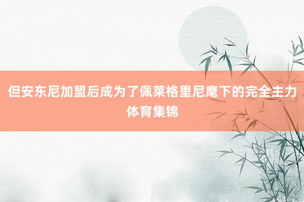 但安东尼加盟后成为了佩莱格里尼麾下的完全主力体育集锦