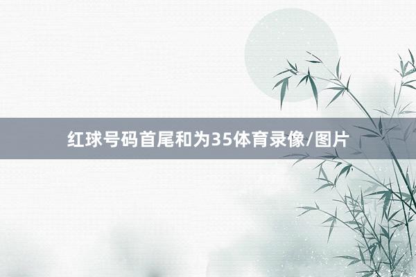 红球号码首尾和为35体育录像/图片