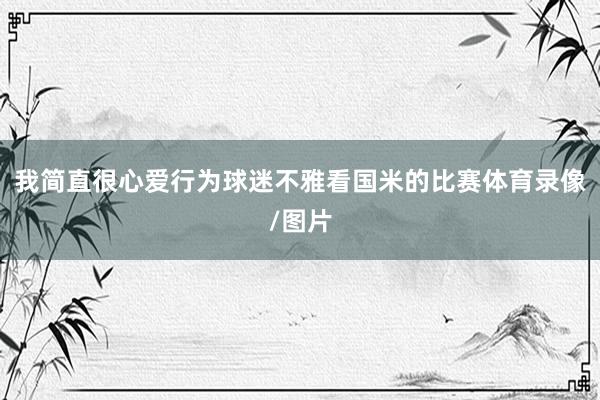 我简直很心爱行为球迷不雅看国米的比赛体育录像/图片