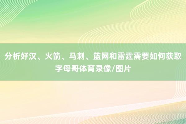 分析好汉、火箭、马刺、篮网和雷霆需要如何获取字母哥体育录像/图片