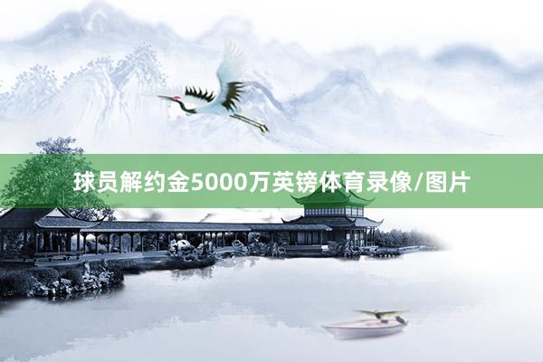 球员解约金5000万英镑体育录像/图片