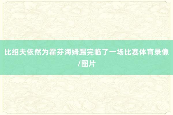 比绍夫依然为霍芬海姆踢完临了一场比赛体育录像/图片