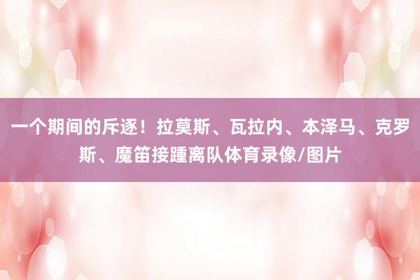 一个期间的斥逐！拉莫斯、瓦拉内、本泽马、克罗斯、魔笛接踵离队体育录像/图片