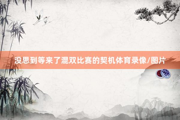 没思到等来了混双比赛的契机体育录像/图片
