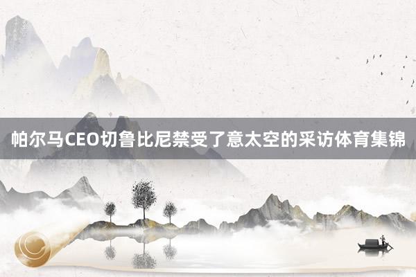 帕尔马CEO切鲁比尼禁受了意太空的采访体育集锦