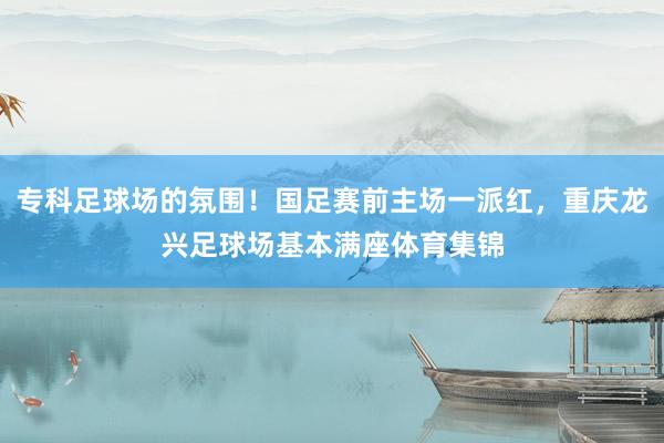 专科足球场的氛围！国足赛前主场一派红，重庆龙兴足球场基本满座体育集锦