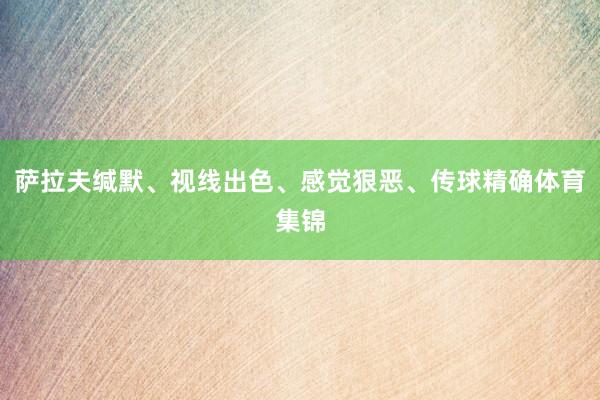 萨拉夫缄默、视线出色、感觉狠恶、传球精确体育集锦