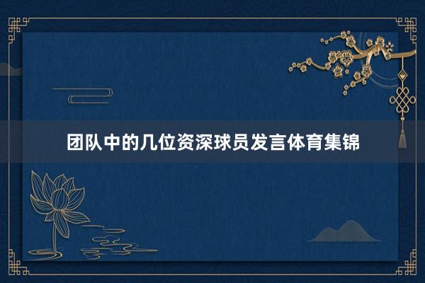 团队中的几位资深球员发言体育集锦