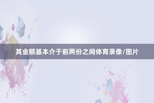 其金额基本介于前两份之间体育录像/图片