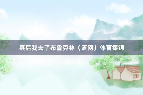 其后我去了布鲁克林（篮网）体育集锦