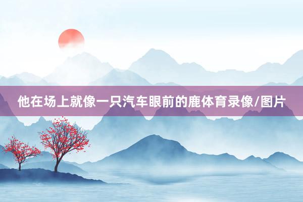 他在场上就像一只汽车眼前的鹿体育录像/图片