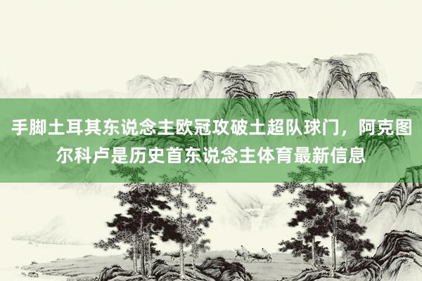 手脚土耳其东说念主欧冠攻破土超队球门，阿克图尔科卢是历史首东说念主体育最新信息